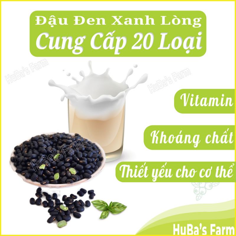 Đậu đen xanh lòng giống thuần chủng, đậu đen sạch, trồng vùng đất dinh dưỡng cao