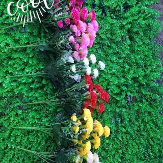 cụm hoa phăng. 18k