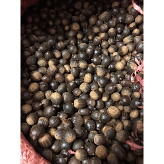 1 Kg Hạt Dẻ Rừng