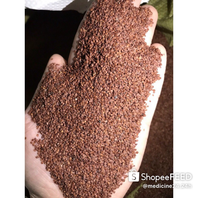 1kg ngũ hoa hạt