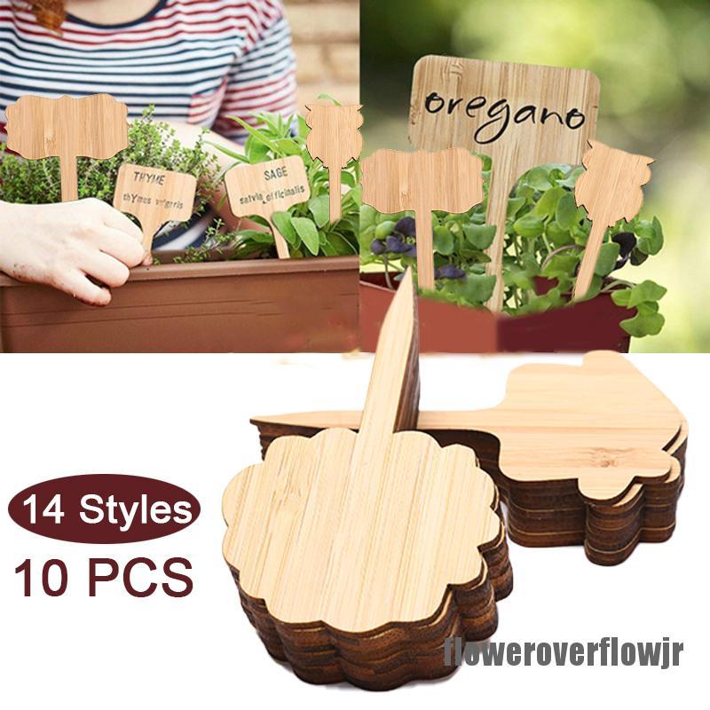 Bộ 10 Bảng Tên Gắn Chậu Cây Trồng