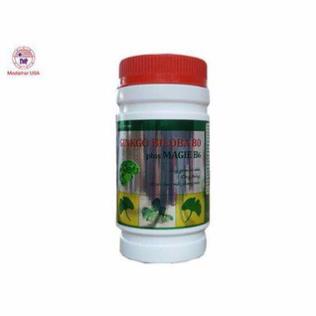 Ginkgo Biloba 80 Plus Magie B6- Hỗ trợ hoạt huyết dưỡng não, ngăn ngừa tai biến (Hộp 100 viên)