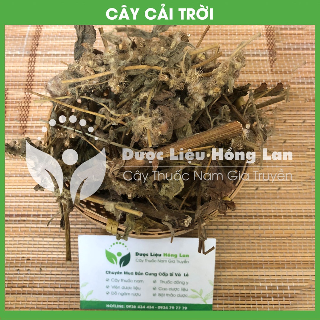 CÂY RAU CẢI TRỜI khô đóng gói 1kg - congtyduoclieuhonglan