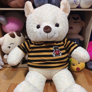Gấu bông Teddy thú bông teddy 1m khổ vãi 1m2, 1m2 khổ vải 1m4