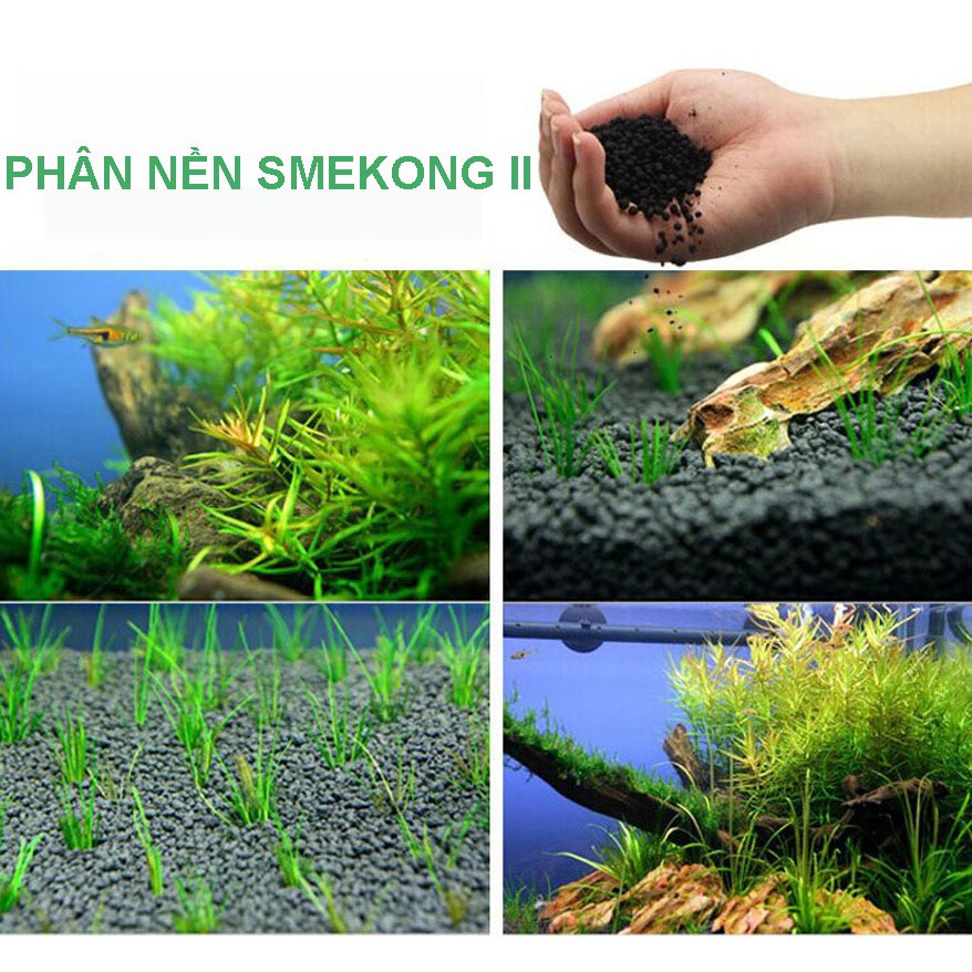 Combo Đá nham thạch  + Đất nền thủy sinh S.MEKONG 2KG giàu dinh dưỡng, giúp cây phát triển mạnh