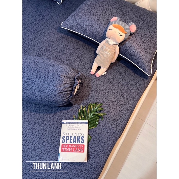 Bộ 4 ga/drap trải giường áo gối THUN LẠNH THÁI