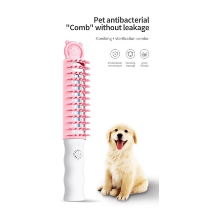 Lược massage tiệt trùng lông cho boss