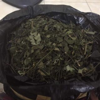 () 5kg chè vằng sẻ nghệ an