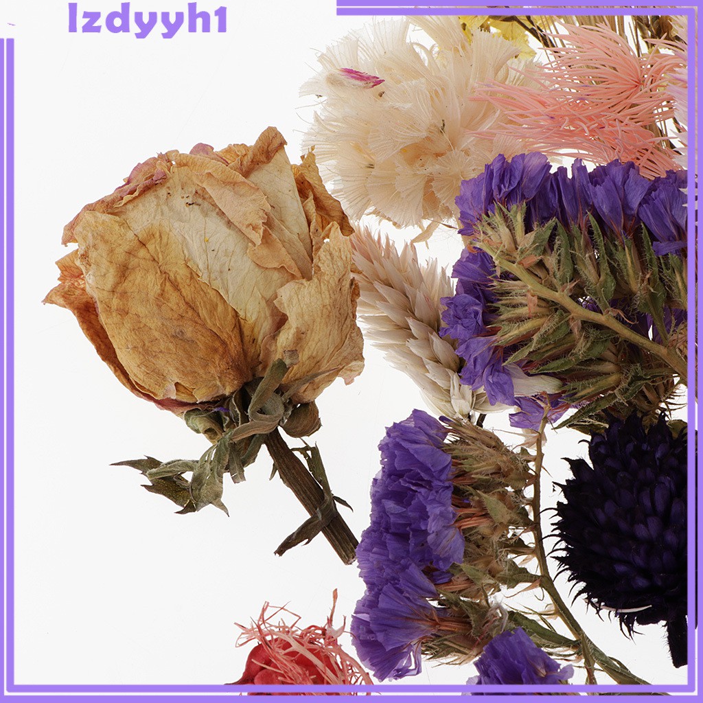 1 Hộp Hoa Khô Tự Nhiên Dùng Làm Thẻ Trang Trí Sổ Tay JoyDIY