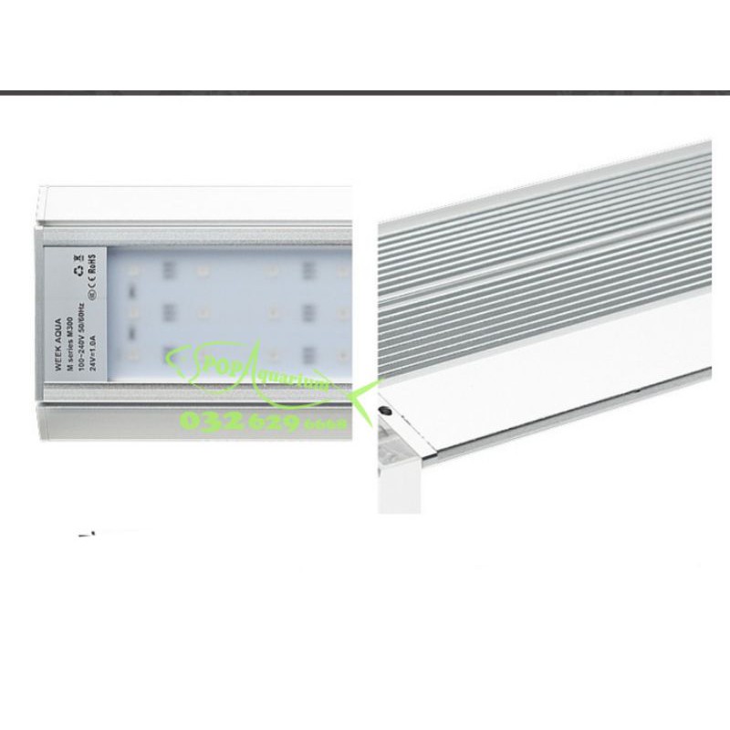 Đèn Week Raptor WRGB M-seri bản mới nhất năm 2021