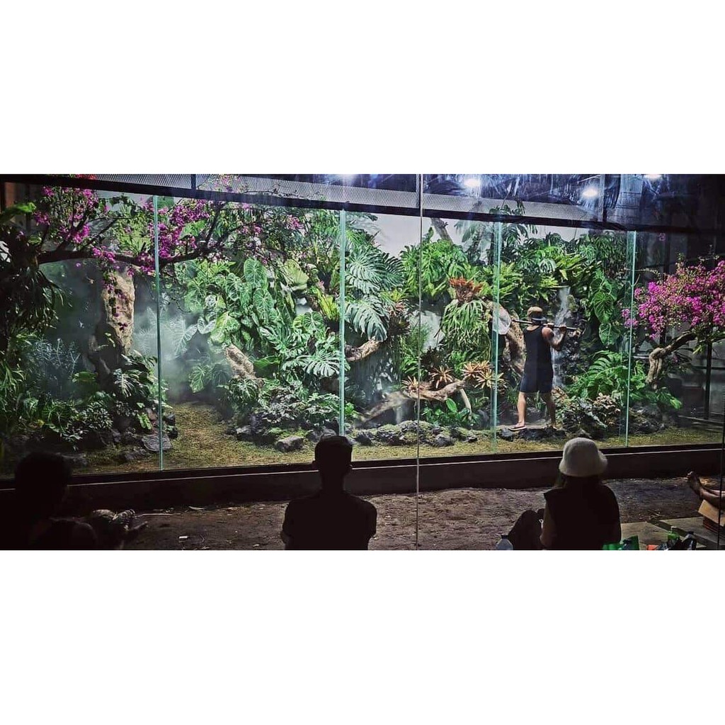 ĐÈN RỌI RAY WEEK RGB 30W  CHIẾU SÁNG CHO CÂY TRONG NHÀ - ĐÈN CHÍNH HÃNG WEEK