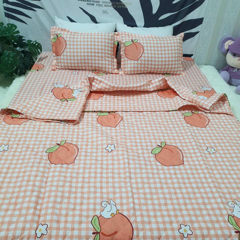 Bộ Chăn hè Ga Gối Cotton Poly Combo 5 Món - Ib chọn thêm nhiều mẫu