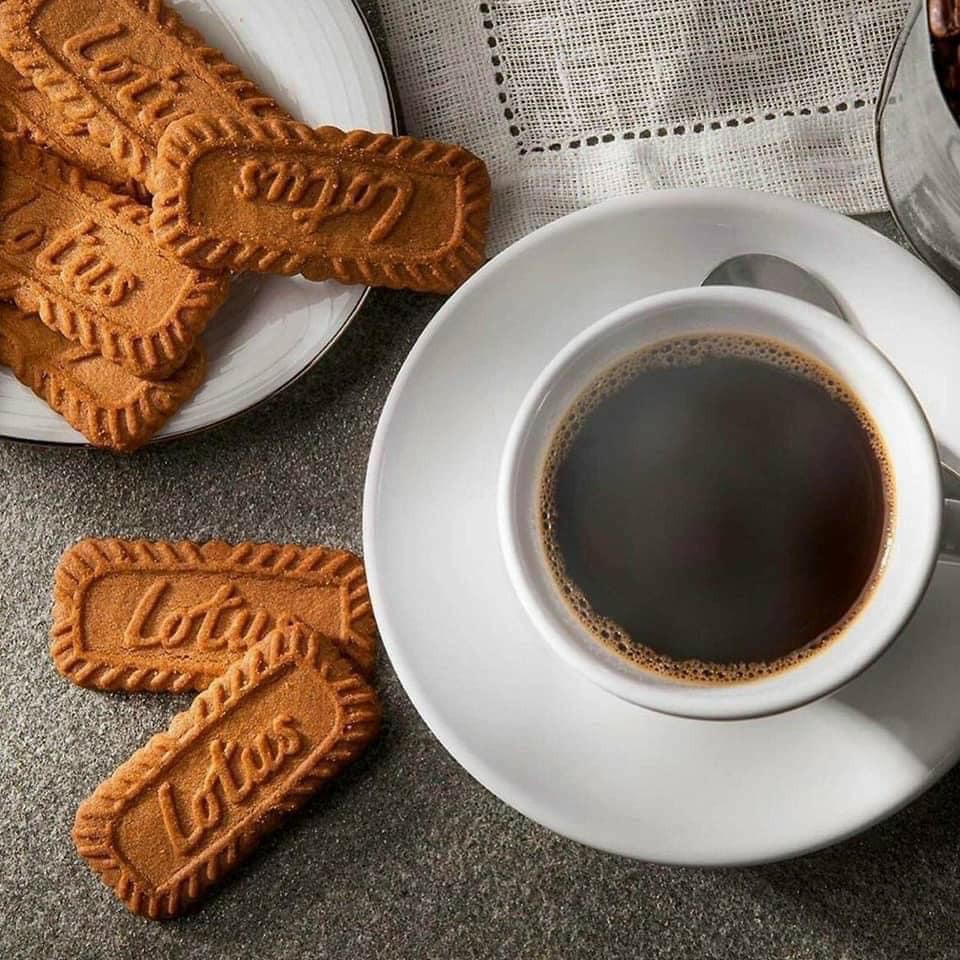 <Gói 50 chiếc> Bánh quy Lotus Biscoff thơm giòn vị quế | BigBuy360 - bigbuy360.vn