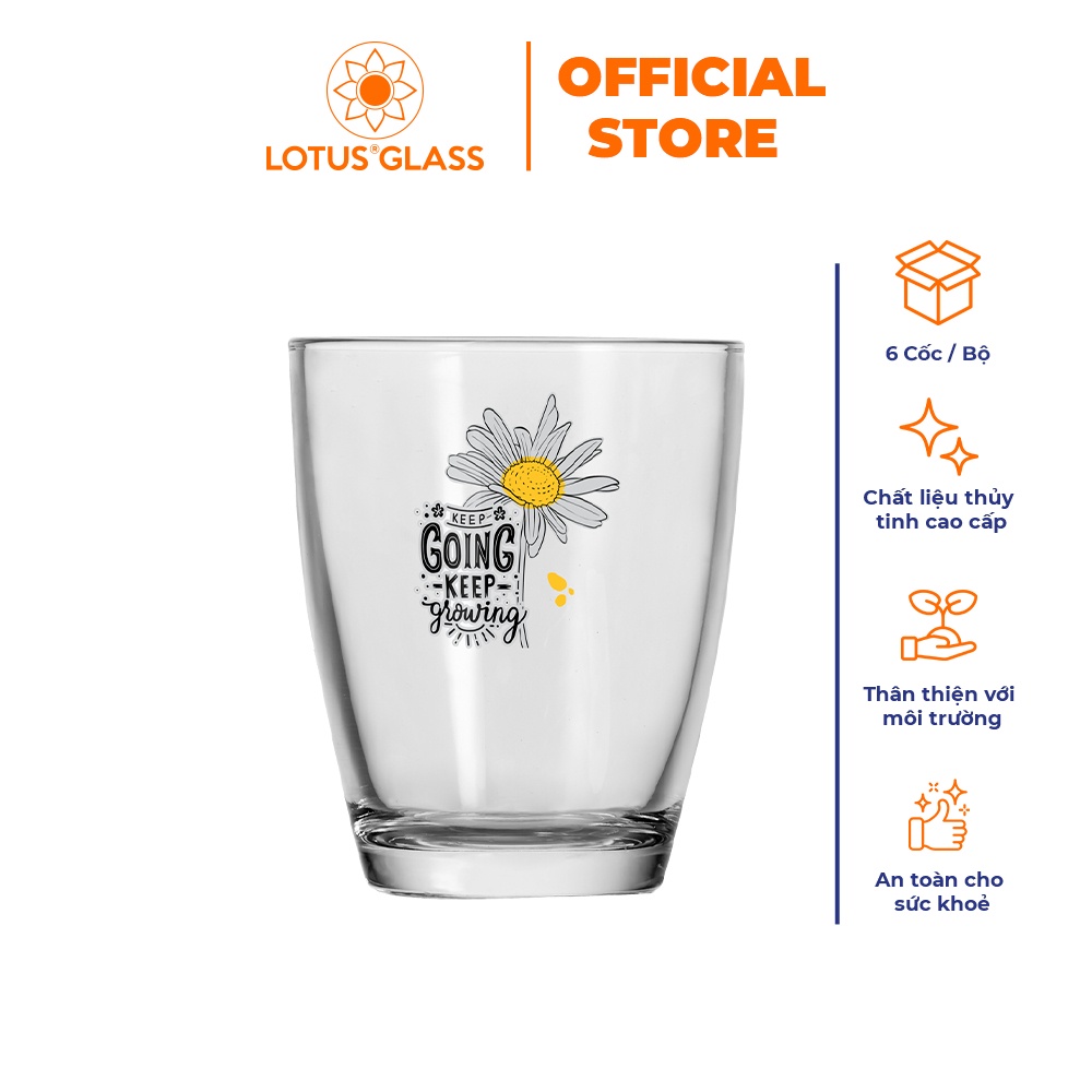 Bộ 6 cốc côn cong thấp thủy tinh LOTUS GLASS VTC223 trong suốt cao cấp, an toàn, dùng để uống nước, nước ép, trà đá
