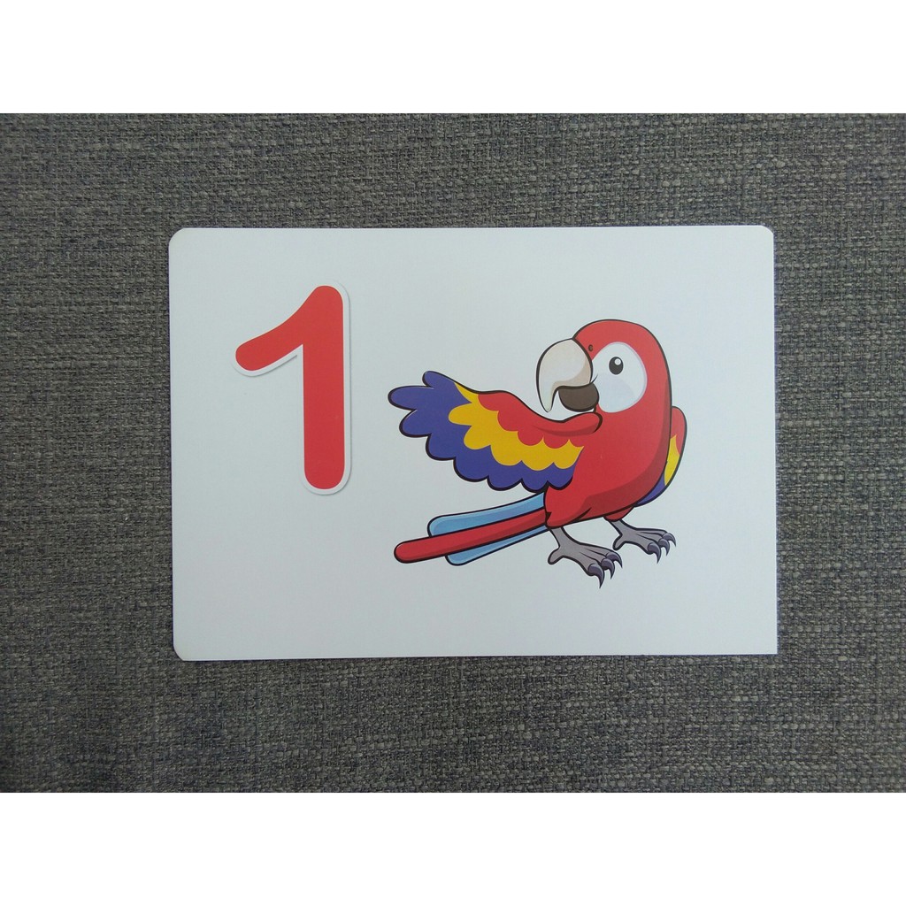 Flashcard Dạy Trẻ Theo Phương Pháp Glenn Doman - Số Đếm