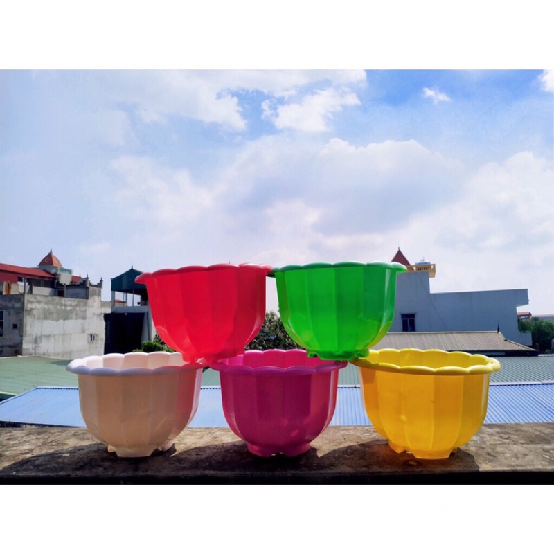 [10 chậu] Chậu treo cây hình quả bí hàng loại 1-Chậu treo bí nhiều màu