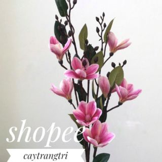 🌸 Hoa Mộc Lan Cao Su Trang Trí