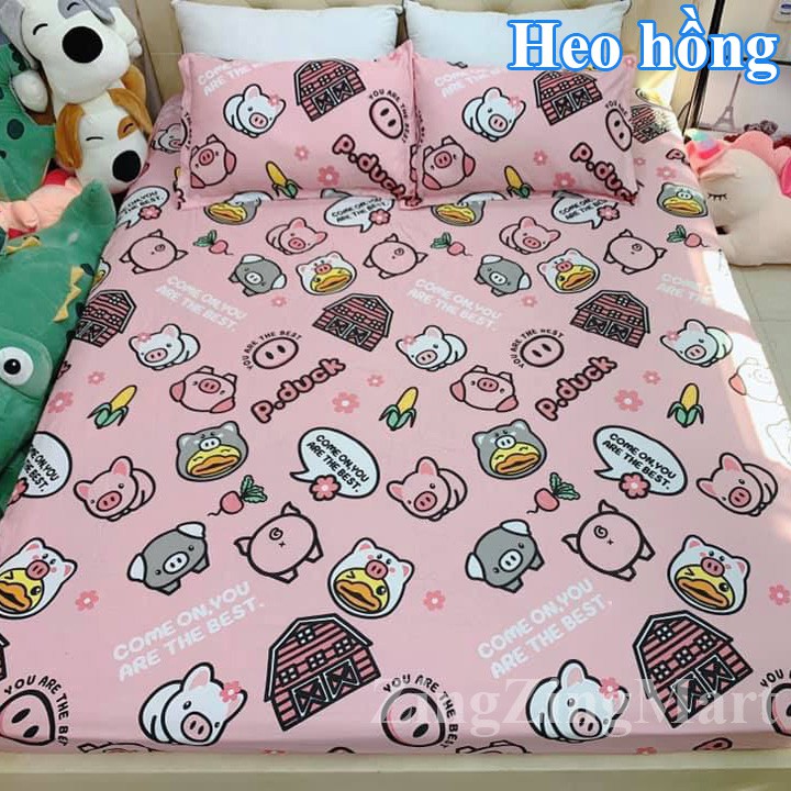 Bộ ga gối Ếch Xanh (1 ga chun và 2 vỏ gối nằm)