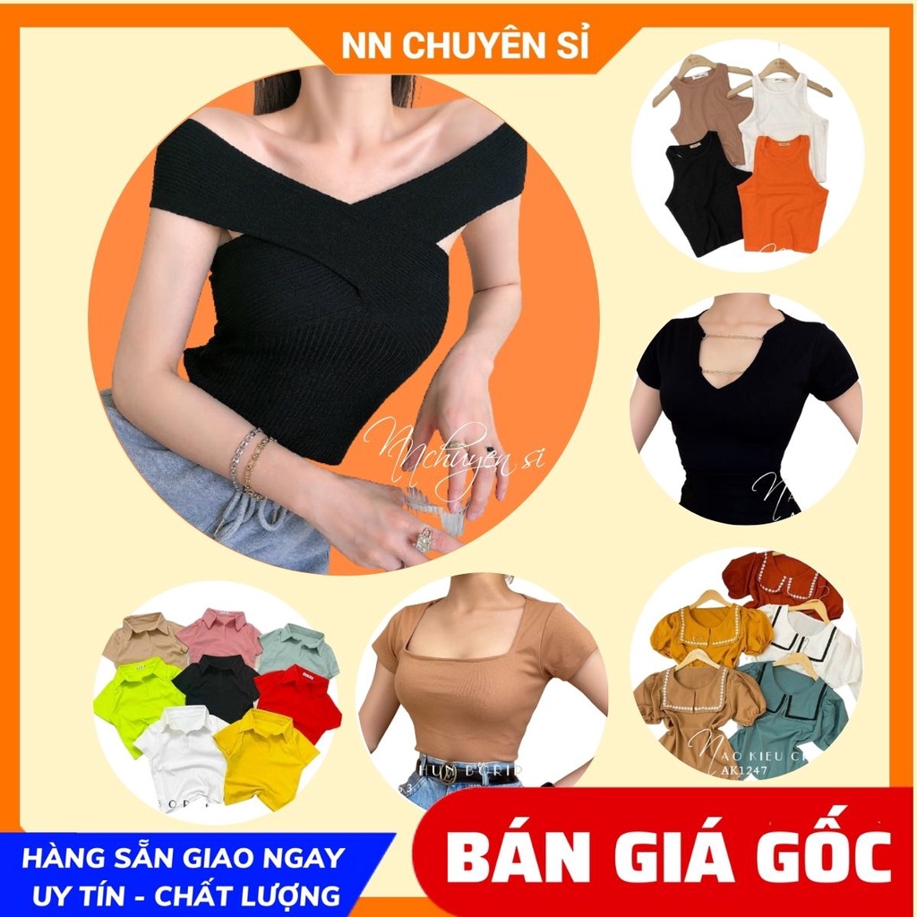 Áo kiểu nữ phom croptop ôm dáng chất thun co giãn 4 chiều thoải mái Áo borip tổng hợp
