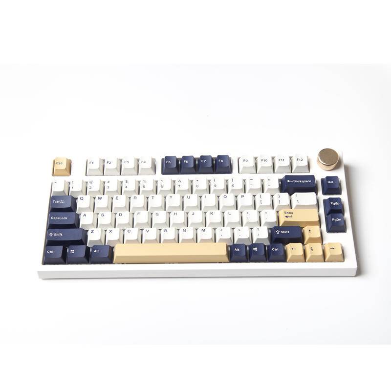 Rudy Keycap Doubleshot Bàn Phím OEM 120 Phím Đầy Màu Sắc Cho Bàn Phím 61 / 64 / 87 / 104