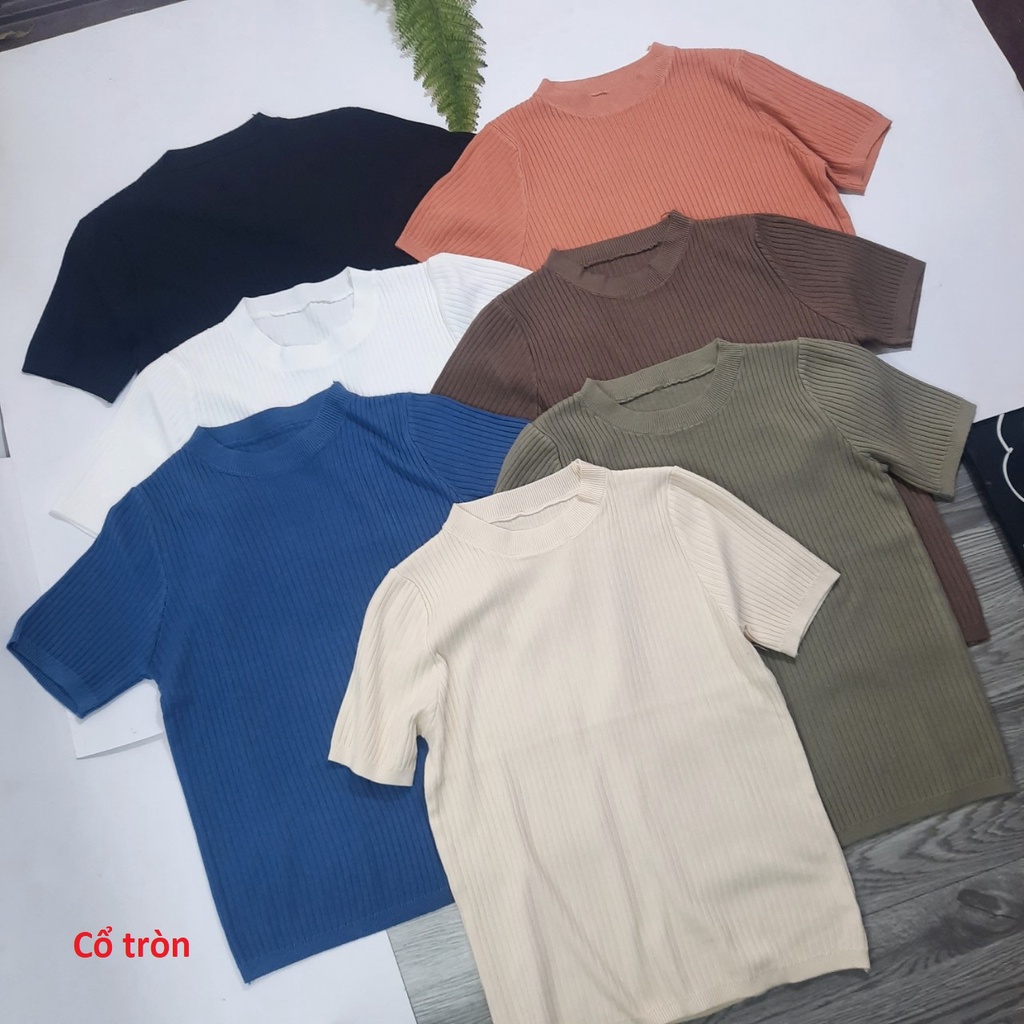 Áo len tăm cộc tay nữ cổ 3 phân ôm body mềm mịn co giãn cao cấp nhiều màu hàng Quảng Châu AL018