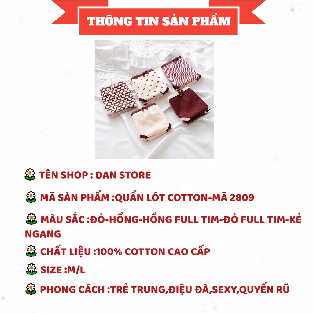 Quần Lót Nữ - Set quần lót cotton thiết kế thoáng mát mềm mịn tông tim đỏ DAN STORE MÃ 2809