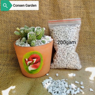 Túi 200 Gam Đá Pumice/ Đá Lông Vũ