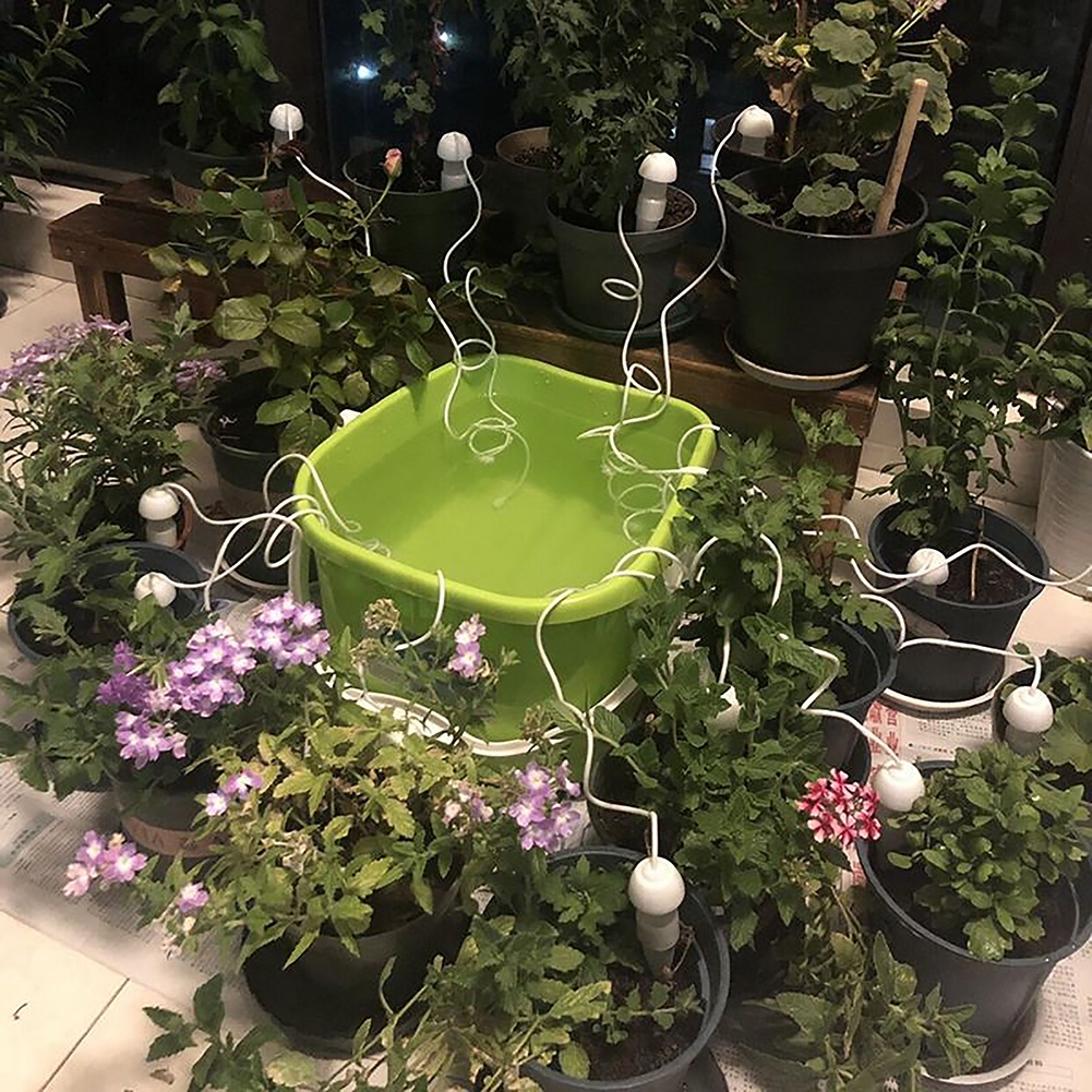Bộ Dụng Cụ Tưới Nước Tự Động Cho Chậu Cây Cảnh