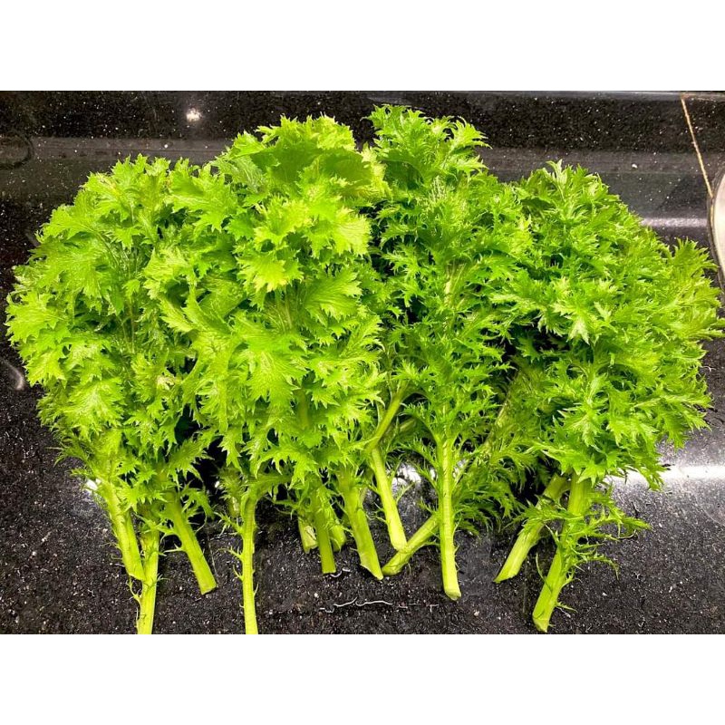Cải Wasabi Xanh Nhật Bản