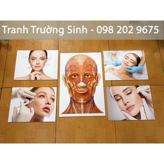 COMBO BỘ 5 TRANH FILLER THẨM MỸ