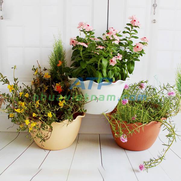 Chậu áp tường bán nguyệt 25cm x15cm x14cm Chậu ốp tường treo tường