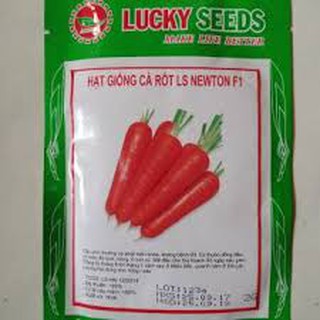 Hạt giống cà rốt cam củ to (1g)