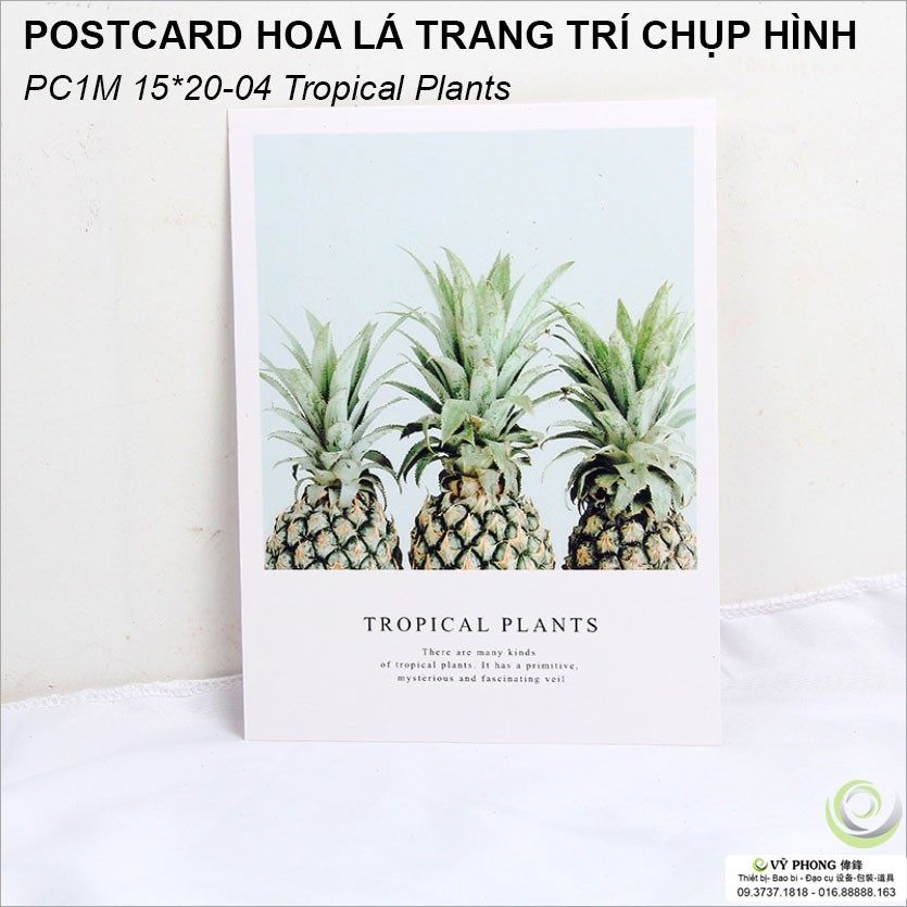 THIỆP CHỤP ẢNH POSTER 1 MẶT 15x20cm Phụ Kiện Trang Trí Chụp Ảnh Sản Phẩm PC1M15x20-01~9