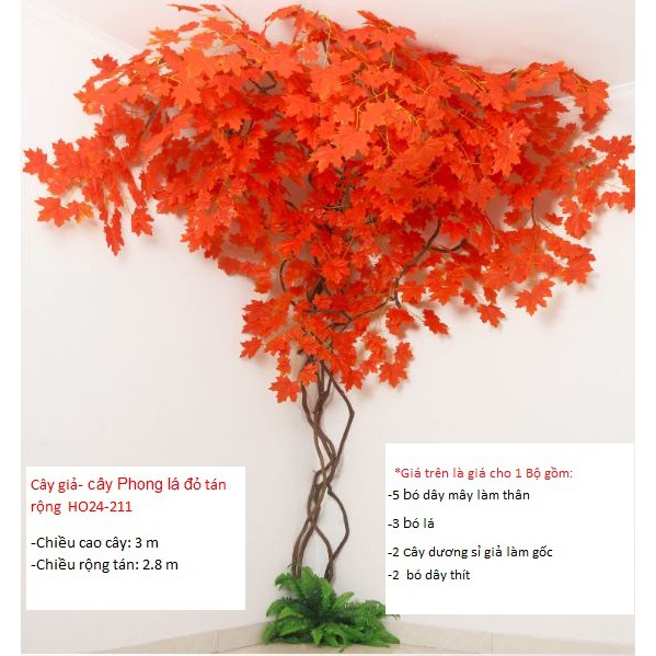 Cây phong lá đỏ - một cảnh quan tuyệt đẹp, thiên nhiên đang đợi bạn khám phá. Hãy xem hình ảnh để chiêm ngưỡng sắc đỏ rực rỡ của cây phong này!