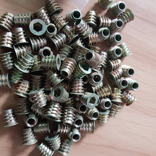 Túi ốc cấy gỗ phi 8 - 100 con