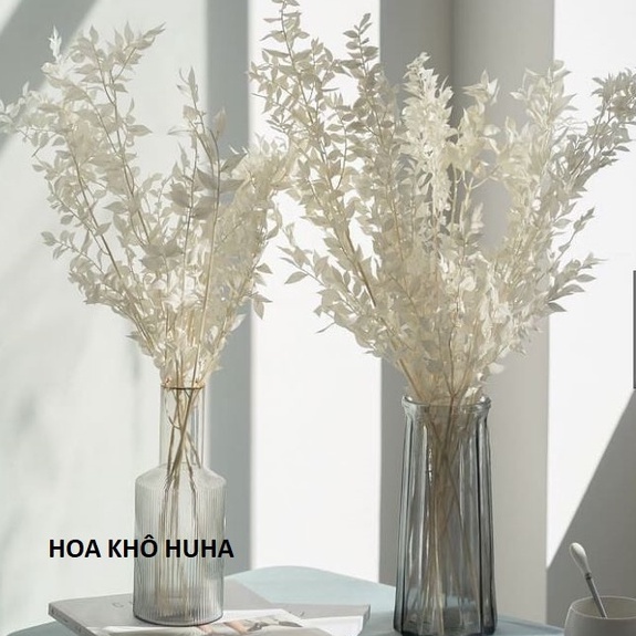 Lá Chanh Ý Nhập Khẩu (Lá Khô, Hoa Khô) Decor