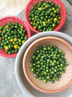 Siro húng chanh
