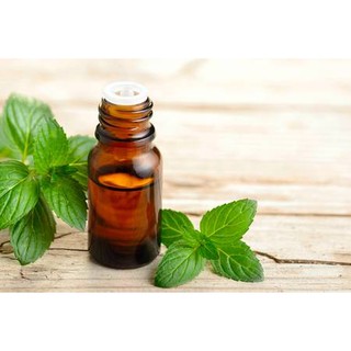 Tinh dầu thiên nhiên 100% nguyên chất Sả chanh, Cam quế, Bạc hà, Trà xanh, Oải hương, Hoa hồng leo, Gừng, Cam chanh bưởi