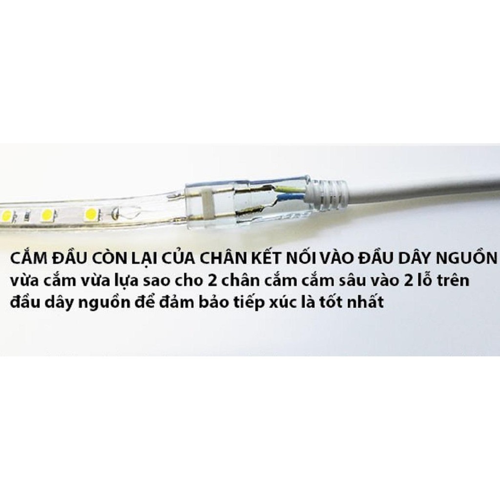 Đầu dây led, dây nguồn led dây 2835 220V loại 1