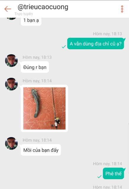combo 10 con Mồi mềm soft bait 6gr