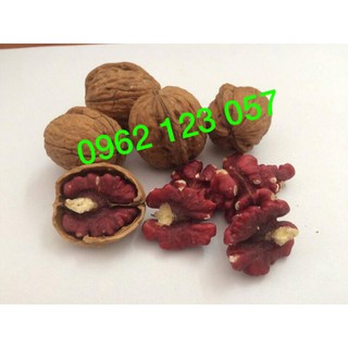 Quả óc chó đỏ Mỹ 500g-1000g