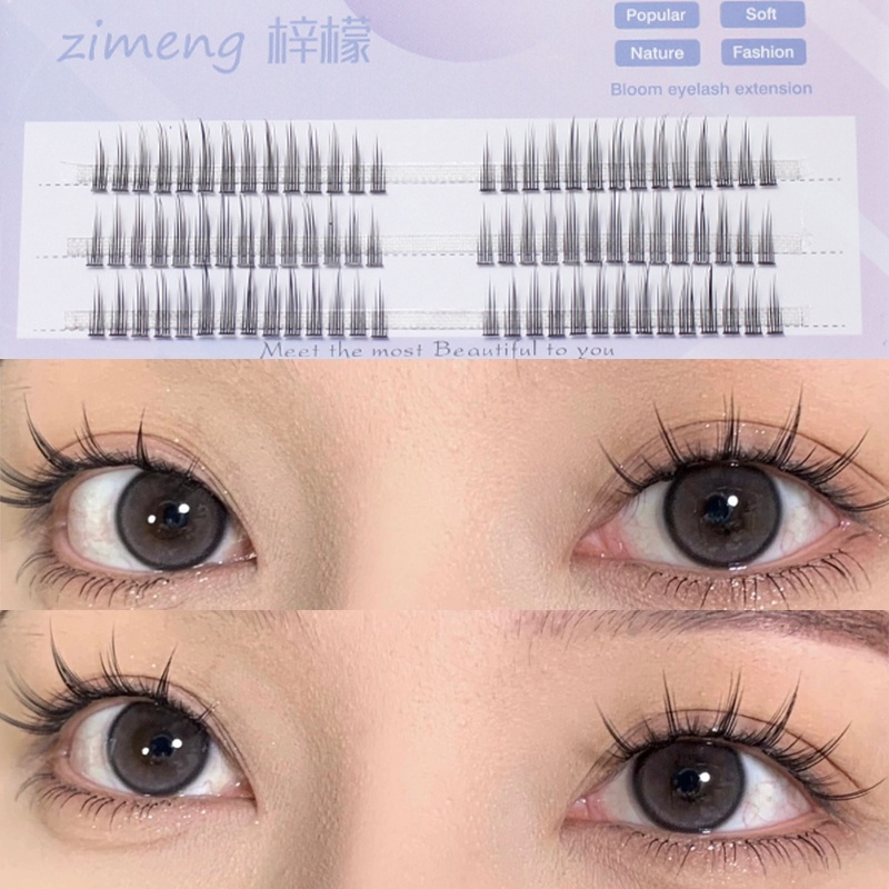 Lông Mi Giả Hình Chữ V Sành Điệu 3 / 5Rows