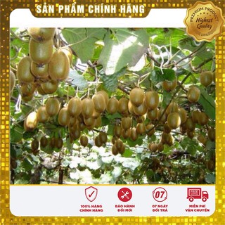 Hạt Giống Quả Kiwi LUCKY SEEDS  ( 30 hạt)