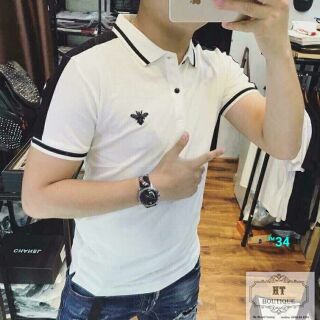 Áo thun nam tay ngắn kiểu viền