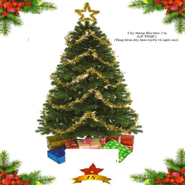 Cây thông Noel xanh đầu tròn 2 in 90cm - 1m2 - 1m5 - 1m8 - 2m1 - 2m4 lá dày dặn 2022