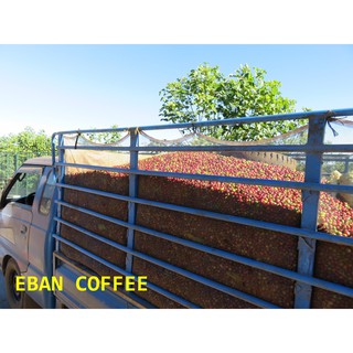 CÀ PHÊ NGUYÊN CHẤT EBAN 02 (1KG)