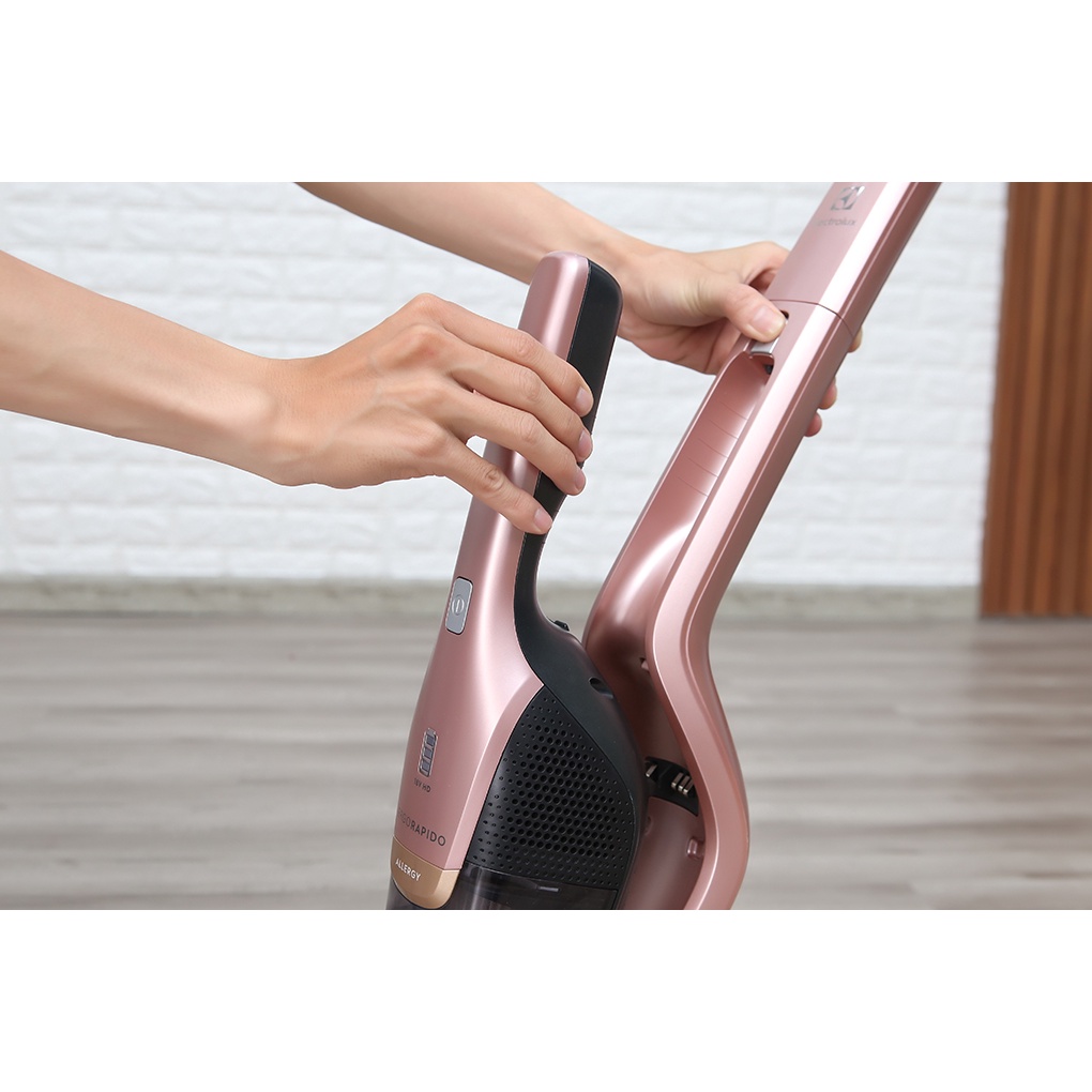 Máy hút bụi cầm tay Electrolux ZB3314AK