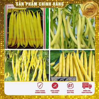 Hạt giống đậu cove vàng (50Gr)