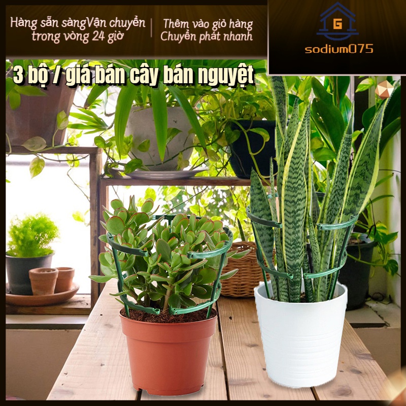 Có thể bán buôn 3 Bộ Hỗ trợ thực vật Lồng Cọc Nhựa 25cm Phụ kiện trồng trọt cho cà chua hoa Sodium075 Hàng giao ngay