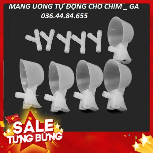 Máng Uống Nước Tự Động Cho Chim Bồ Câu